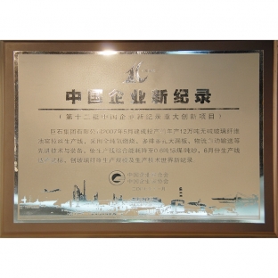 The twelfth batch of major innovation projects in the new record of Chinese enterprises