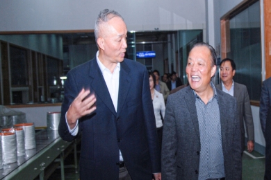 2010年11月，時(shí)任浙江省委常委、組織部長(zhǎng)蔡奇到中國(guó)巨石視察。他對(duì)企業(yè)立足浙江、走向世界的做法給予肯定和鼓勵(lì)，希望企業(yè)積極開(kāi)展?fàn)幃?dāng)“發(fā)展強(qiáng)、黨建強(qiáng)”先進(jìn)企業(yè)活動(dòng)，為企業(yè)科學(xué)發(fā)展注入動(dòng)力，以黨內(nèi)創(chuàng)先帶動(dòng)企業(yè)創(chuàng)先，讓企業(yè)創(chuàng)先爭(zhēng)優(yōu)形成長(zhǎng)效機(jī)制。